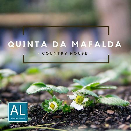 Quinta Da Mafalda Mira  Exterior photo