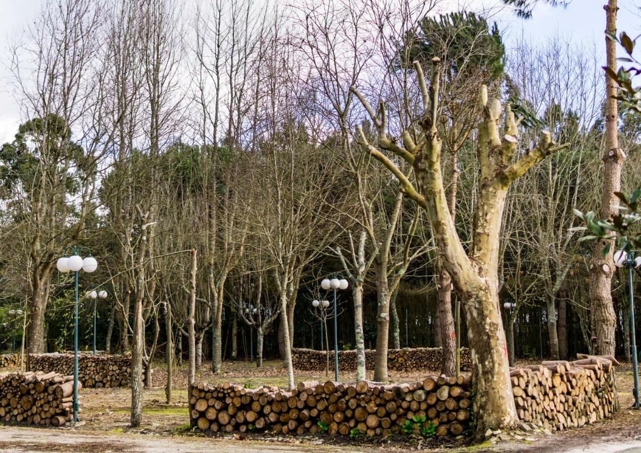 Quinta Da Mafalda Mira  Exterior photo