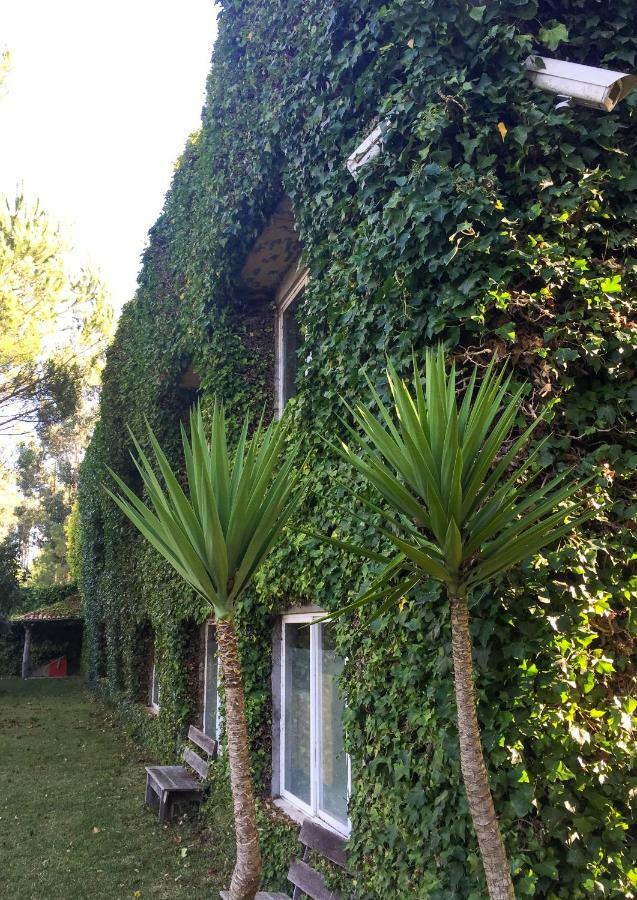 Quinta Da Mafalda Mira  Exterior photo